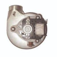 Без названия (14)