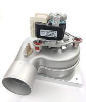 photo_2024-03-29_14-25-10