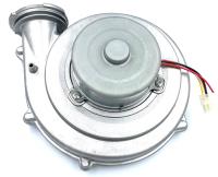 Изображение WhatsApp 2025-09-25 в 13.40.05_b3fc3d78